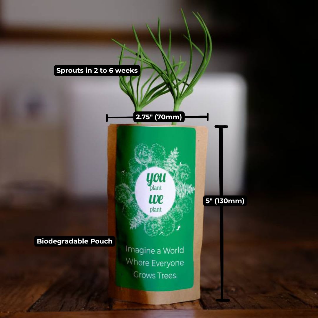 You Plant We Plant Tree Pouch, We Plant 100 More Trees