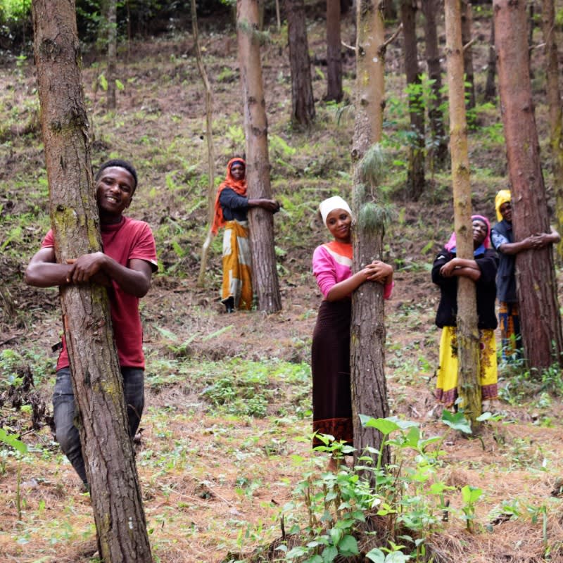 You Plant We Plant Tree Pouch, We Plant 100 More Trees