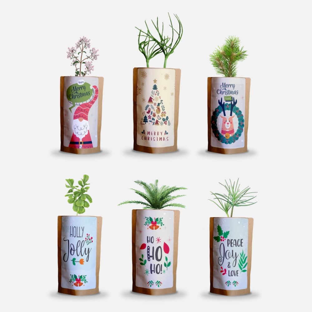 Merry Christmas Holiday Greetings Pack, We Plant 60 More Trees