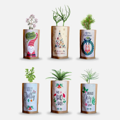 Merry Christmas Holiday Greetings Pack, We Plant 60 More Trees