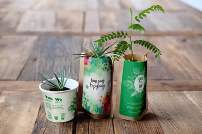 Forest Ambassador Pack, We Plant 300 More Trees