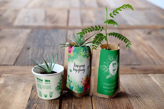 Forest Ambassador Pack, We Plant 300 More Trees